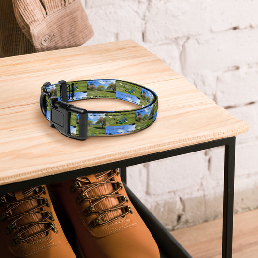 in the meadows | Pet collar